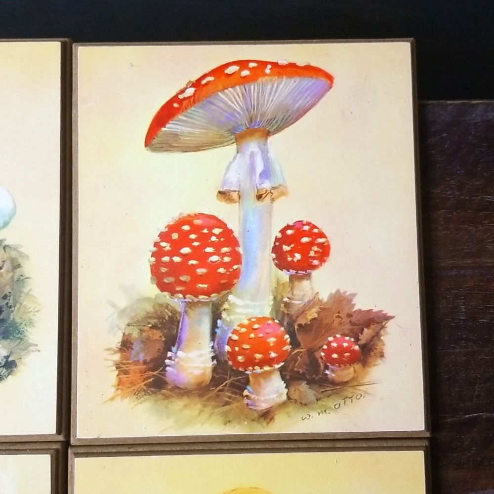 Vintage W.M. Otto MCM 1970's Mushroom Wood Plaques-Set of 4 - Picture 3 of 9